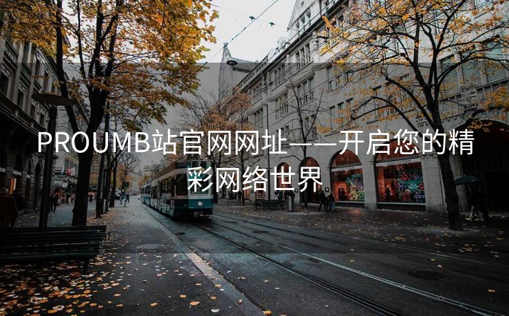 PROUMB站官网网址——开启您的精彩网络世界