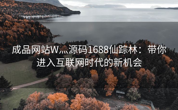 成品网站W灬源码1688仙踪林：带你进入互联网时代的新机会