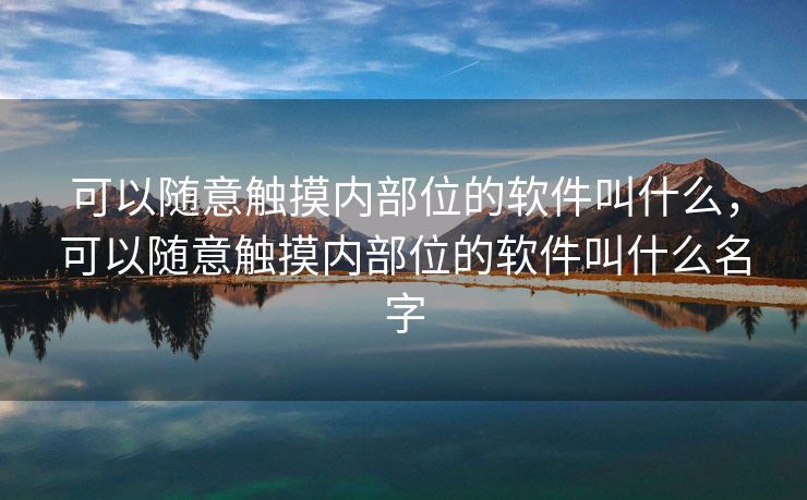 可以随意触摸内部位的软件叫什么，可以随意触摸内部位的软件叫什么名字